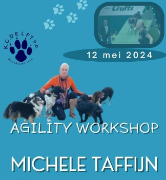 Workshop Agility (externe agility instructeurs)